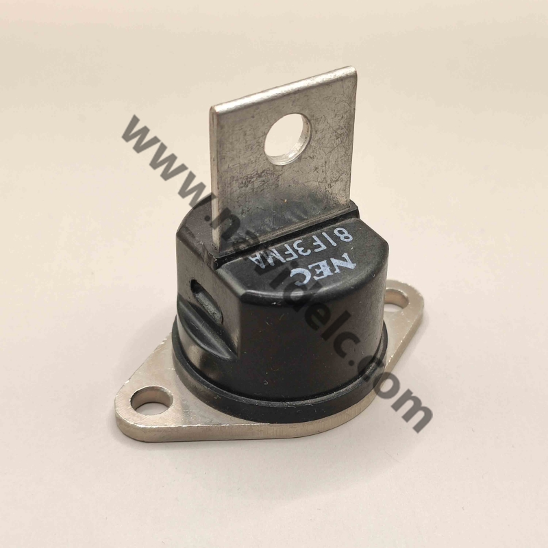 81F3FMA 250A/300V